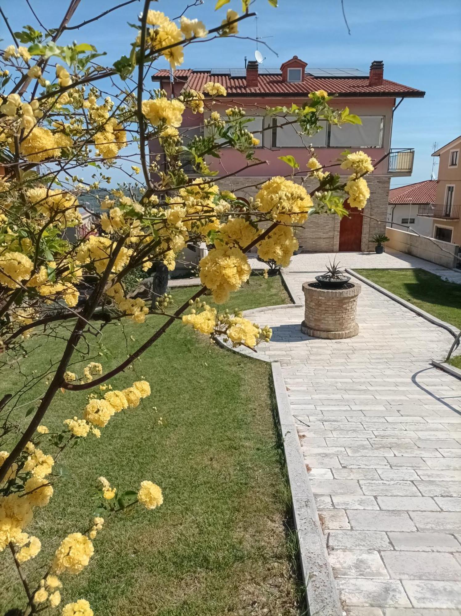 Villa Istonia Cupello Bagian luar foto