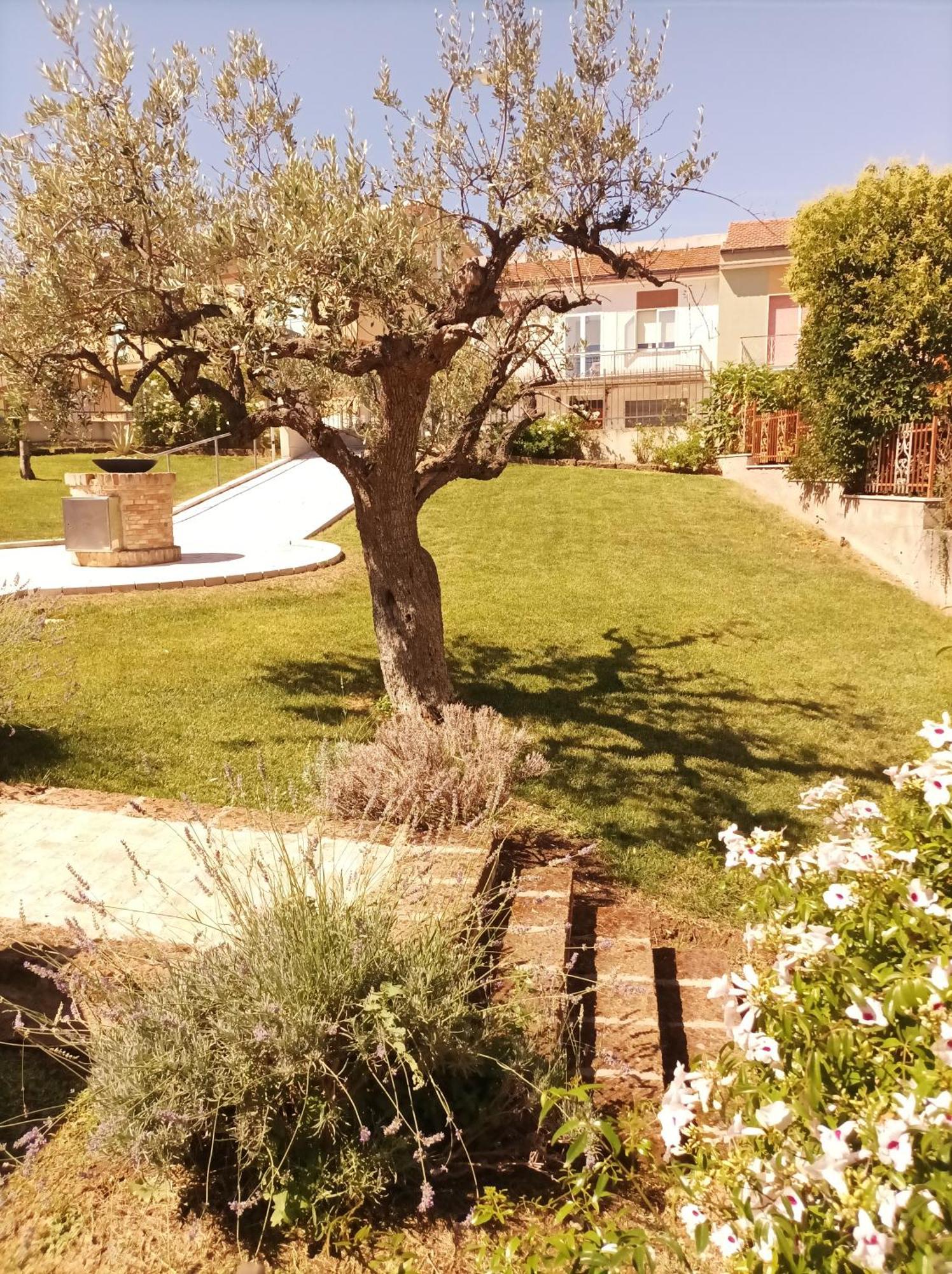 Villa Istonia Cupello Bagian luar foto
