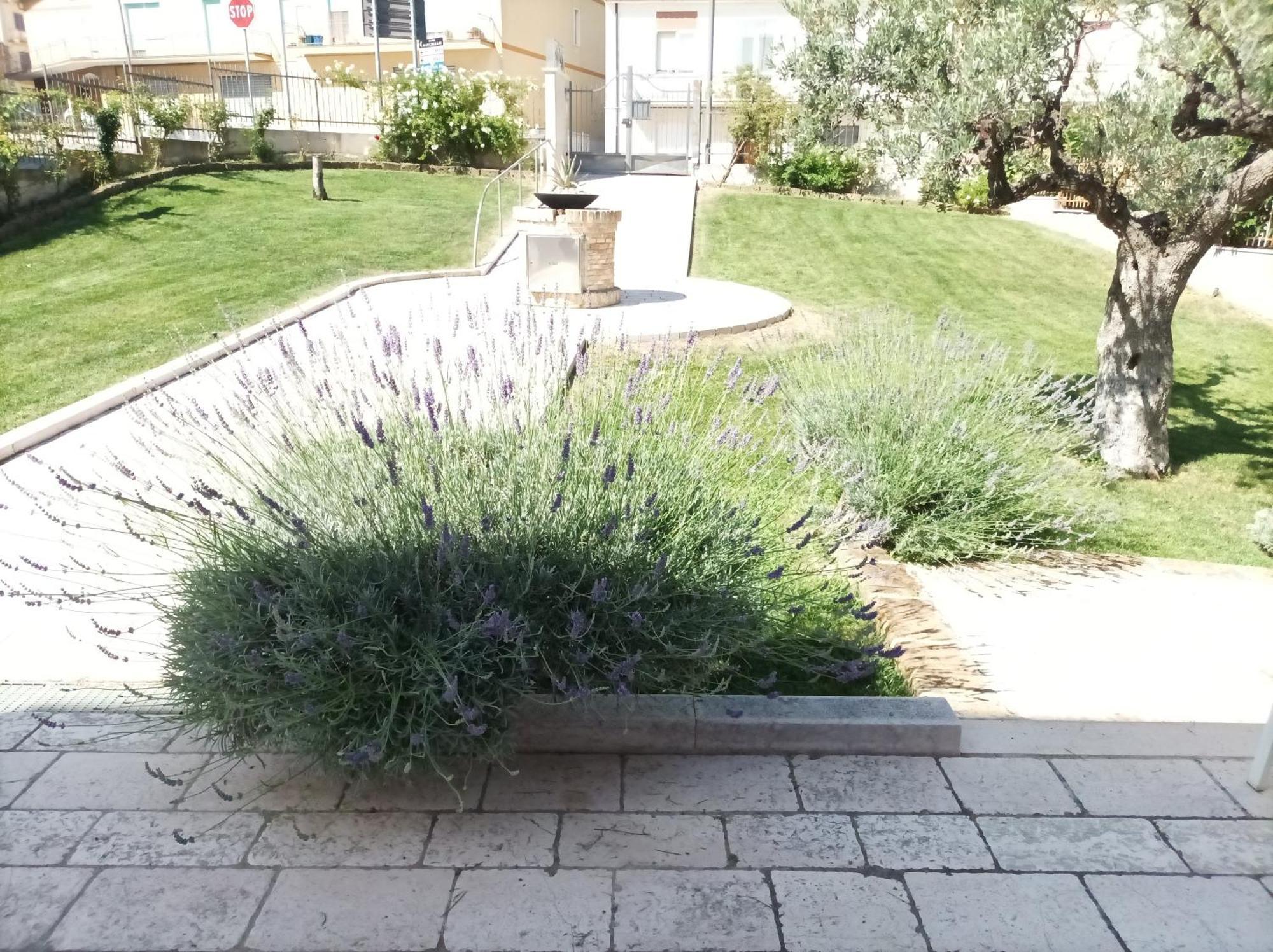 Villa Istonia Cupello Bagian luar foto